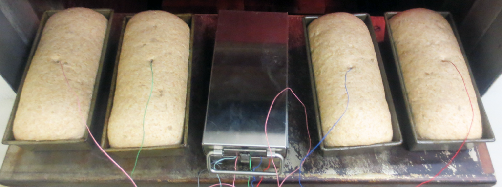 bakewatch_profile_rig